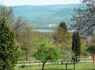 Fő galéria galéria