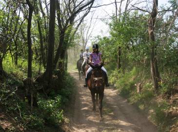 Fő galéria galéria