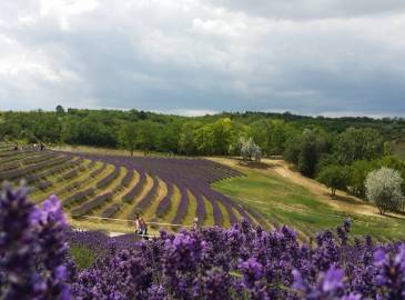 Fő galéria galéria