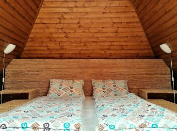 Fő galéria galéria